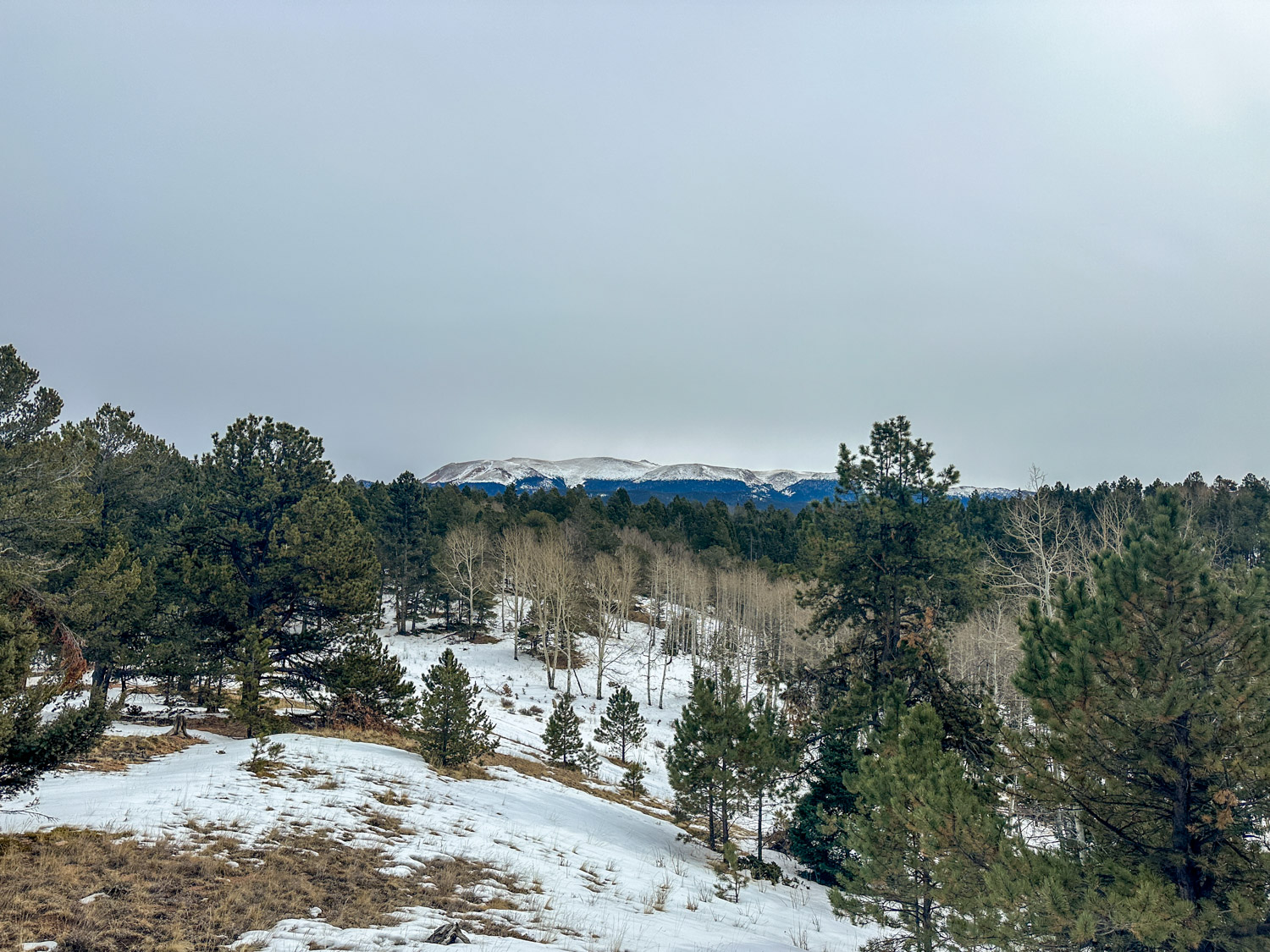 Mueller State Park