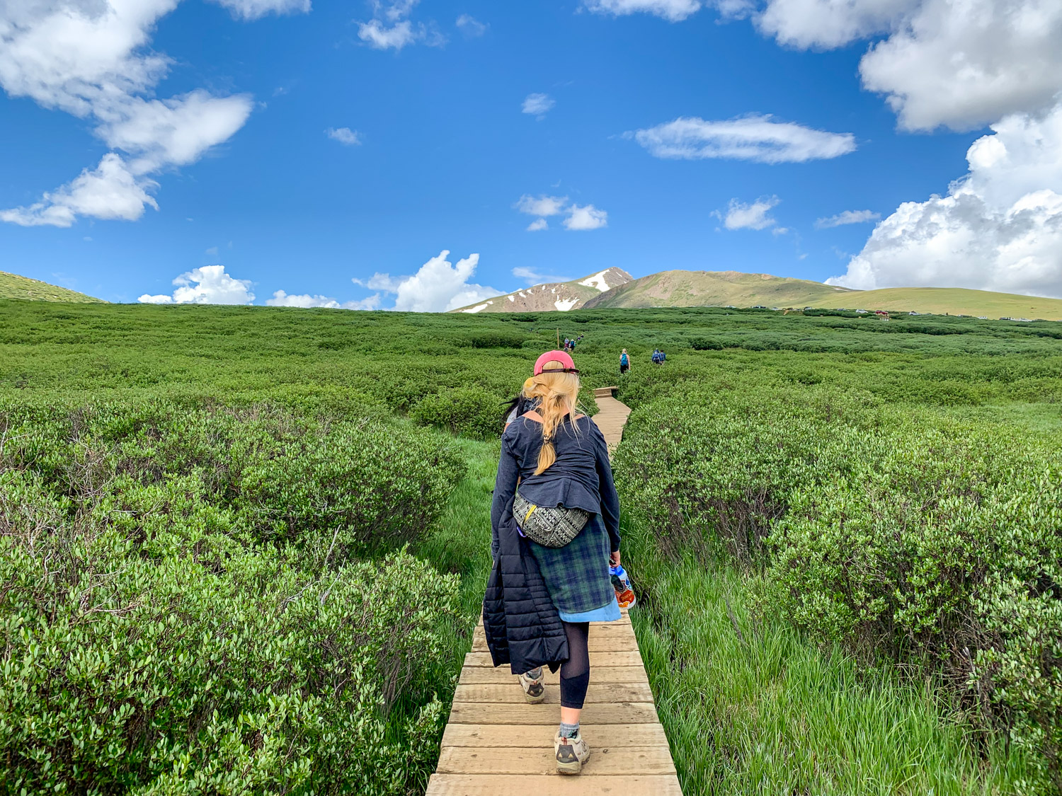 Hike A Colorado 14er Mountain